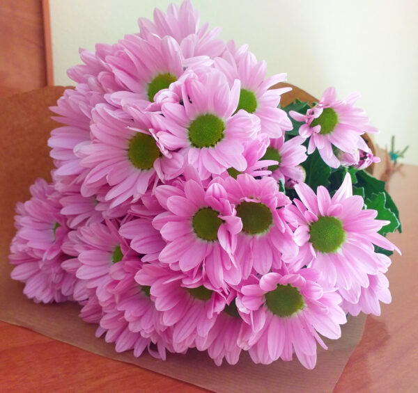 MARGARITAS ROSAS