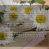 La Flor contada - Imagen 3